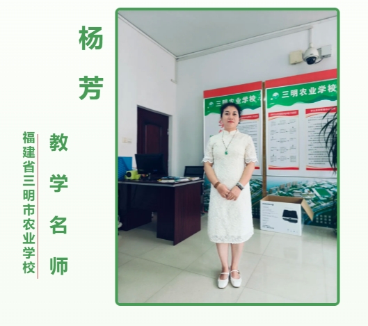 1734094193986955.png 5.png